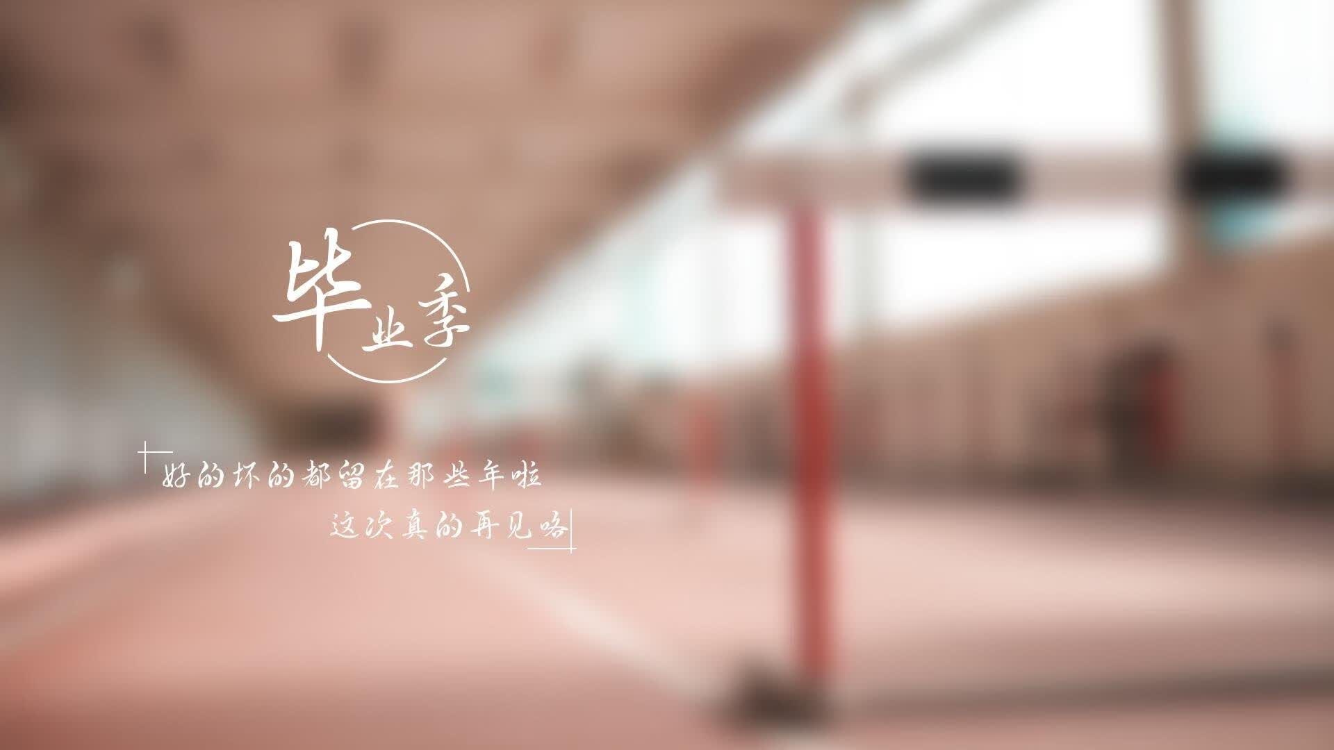 2026年体育主题餐厅：足球主题酒吧的生意经，足球主题酒吧投资多少